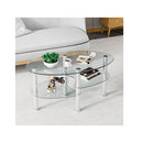 Tempered Glass Coffee Table With Open Storage Shelf