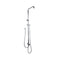 Gooseneck Top Bottom Inlet Shower Rail Diverter Shower Heads Chrome