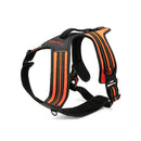 Heavy Duty Sports Dog Harness Orange