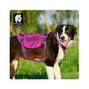 Military Harness Purple