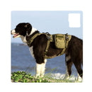Military Harness Army Green