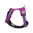 Lightweight Reflective Harness Purple