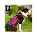 Military Harness Purple