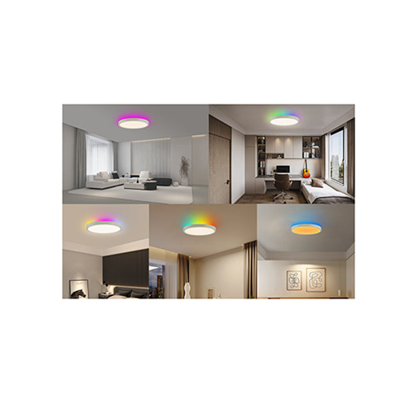 SmarterHome LED RGBIC Ceiling Light