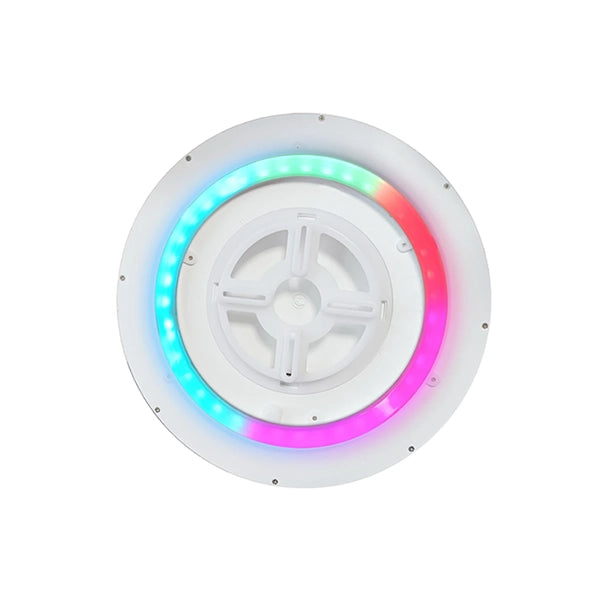 SmarterHome LED RGBIC Ceiling Light