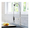 Spring Dual Spout Kitchen Pull Out Mixer Tap Laundry Sink