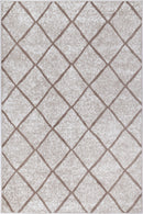 Cedar Echo Contemporary Rug