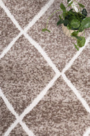Celeste Echo Contemporary Rug
