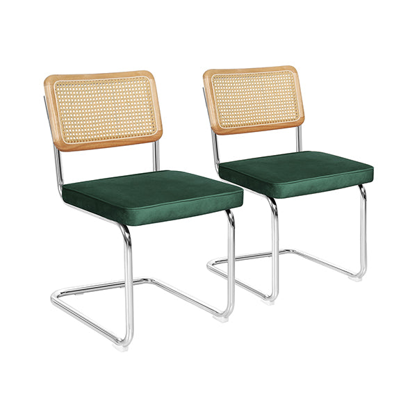 2X Rattan Dining Chairs
