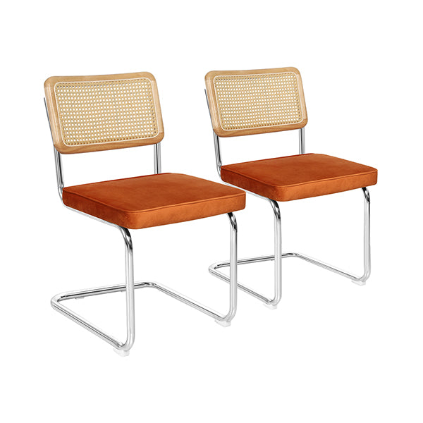 2X Rattan Dining Chairs