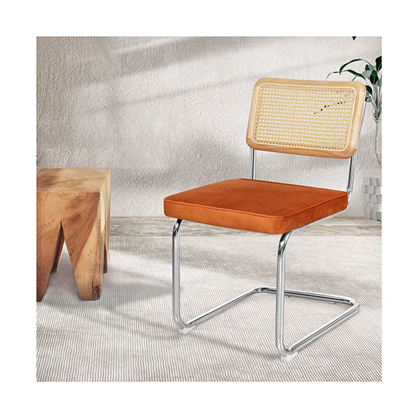 2X Rattan Dining Chairs