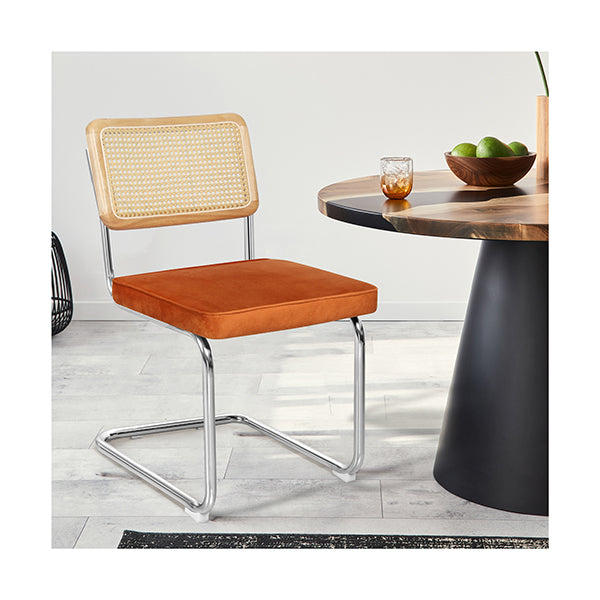 2X Rattan Dining Chairs