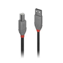 Lindy 10M Usb A 2 To Usb B Cable Anthra Line