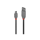 Lindy Usb A 2 To Mini B Cable Anthra Line