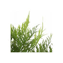 65Cm Artificial Tree Fake Plants Home Decor
