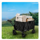 Folding Wagon Cart