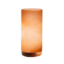Himalayan Pink Salt Lamp 12W 12V Switch Carved Shape Natural Crystal