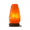 Himalayan Pink Salt Lamp 12W 12V Switch Carved Shape Natural Crystal