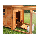 Large Wooden Chicken Coop Rabbit Hutch Nesting Box Fir Wood