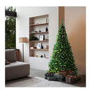 Led Christmas Tree 5Ft Green 445 Tips