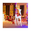 Led Lighted Christmas Reindeer And Santa Sleigh