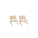 Accent Chair Foldable Recliner