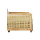 Rattan Lounge Armchair