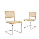 2X Rattan Chair Dining Chairs