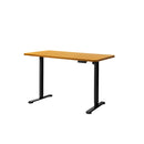 Motorised Standing Desk Adjustable 140Cm 1000X 1Mm