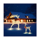 Pre Lit 50 Led Christmas Reindeer Decoration For Small Yard