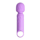 Maia Dolly Usb Rechargeable Massage Wand Purple
