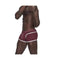 Male Power Sport Mesh Mini Short Burgundy