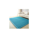 Coral Velvet Area Rugs Large Mat 120X200Cm
