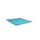 Coral Velvet Area Rugs Large Mat 120X200Cm