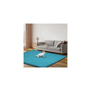 Coral Velvet Area Rugs Large Mat 150X200Cm