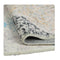 Floor Rug Hallway Runner Washable 180X60Cm