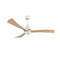 52 Inch Ceiling Fan With Led Light Dc Motor Timer With Remote Control