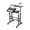 Mobile Stand Up Computer Desk With 2 Tilting Desktops For Office
