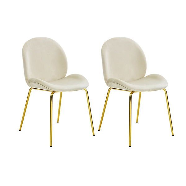 Set Of 2 Modern Velvet Dining Chairs With Golden Finished Metal Legs