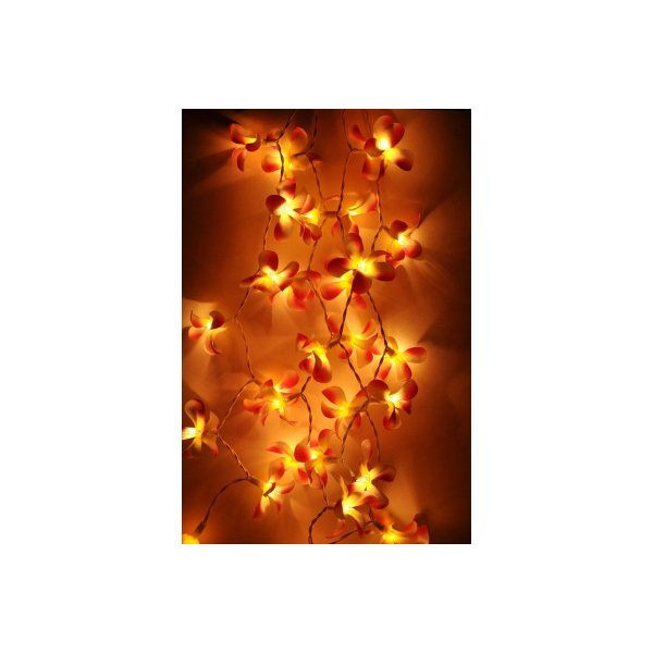 1 Set Of 20 Led Orange Frangipani Flower String Lights Garland Wreath