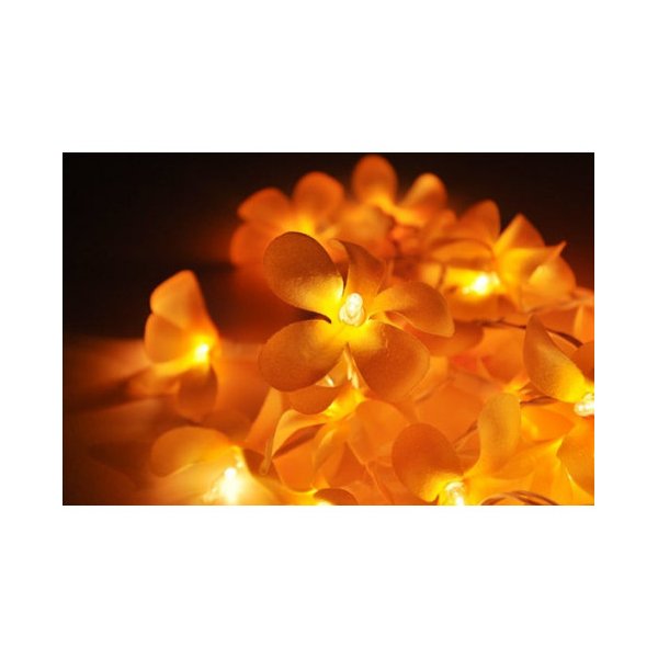 1 Set Of 20 Led Orange Frangipani Flower String Lights Garland Wreath
