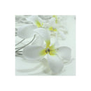 1 Set Of 20 Led White Frangipani Flower String Lights Decoration