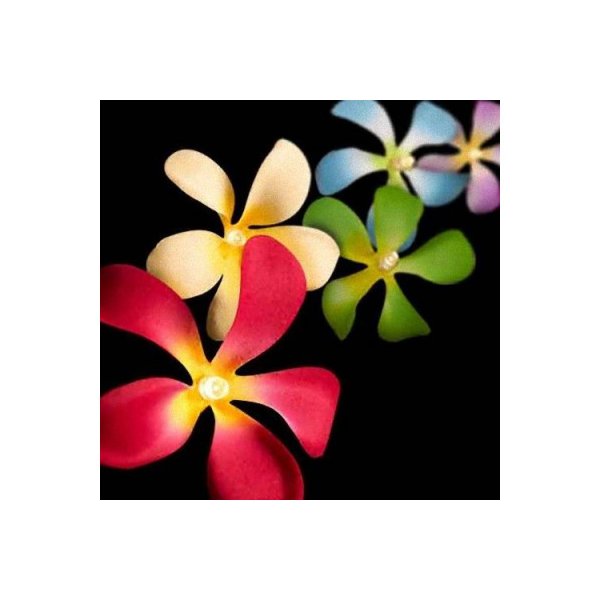 1 Set Of 20 Led Tropical Bright Colour Frangipani Flower String Lights