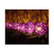 1 Set Of 20 Led Cassis Purple 5Cm Rattan Cane Ball String Lights