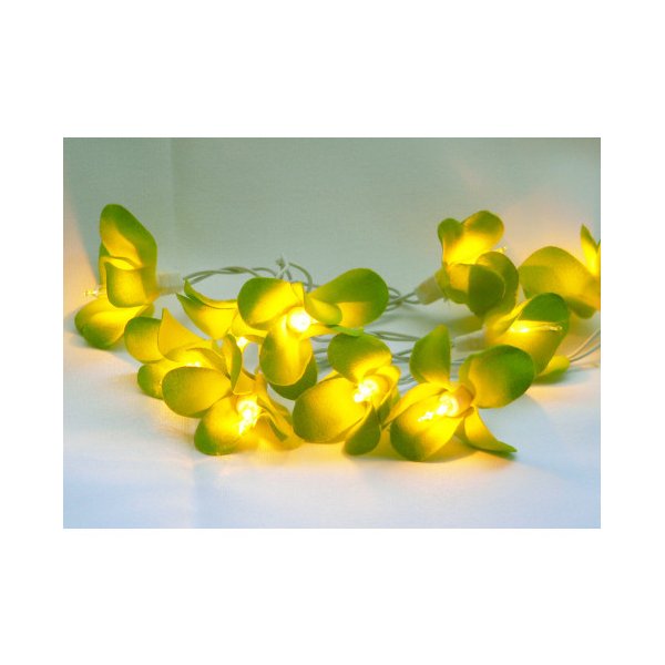 1 Set Of 20 Led Green Frangipani Flower String Lights Garland Wreath