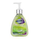 Northfork Liquid Hand Wash Aloe And Chamomile 250Ml Box Of 6