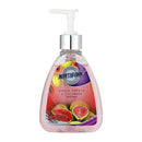 Northfork Liquid Handwash Guava Papaya Cucumber 250Ml
