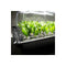 120 Plant Aeroponic Propagation X Stream For Hydroponic Grow Systems