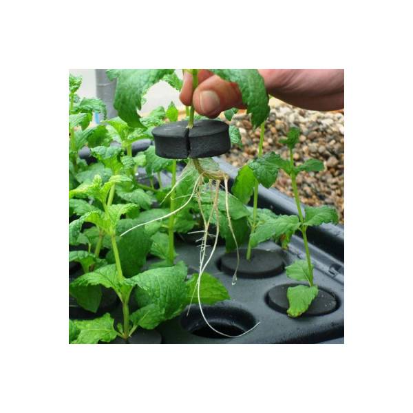 20 Plant Aeroponic Propagation Mister X Stream Hydroponic Grow Systems