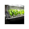 20 Plant Aeroponic Propagation Mister X Stream Hydroponic Grow Systems
